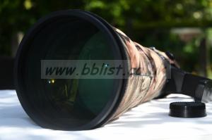 Nikon 800mm f5.6 AFS VR FL - Fabulous ! 