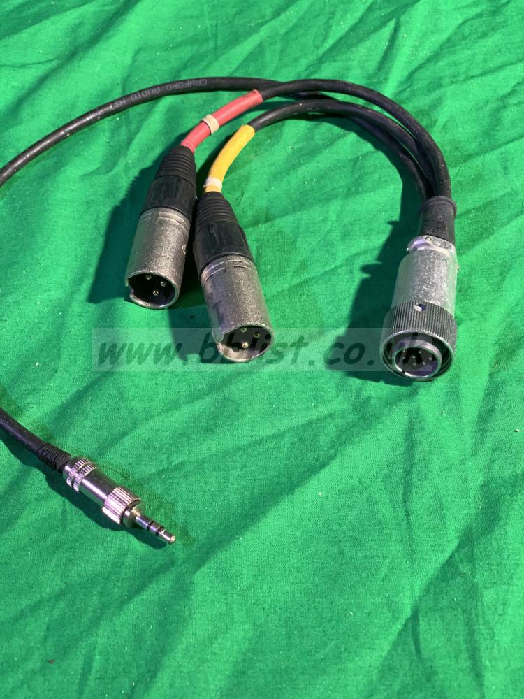 SQN 10 pin Male plug to 2 x XLR  & 3.5mm Plug