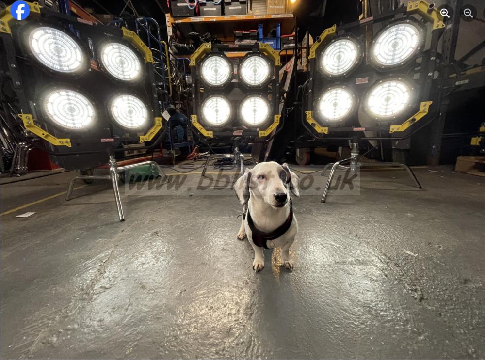 LIghtstar LUXED-4 Bi Colour LED