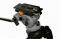 TRIPOD MILLER DS10