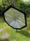 Dedo Panaura 5" Octodome Light