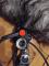 Rycote windshield and cables