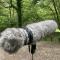 MKH815T Rifle Microphone with suspension and basket