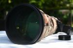 Nikon 800mm f5.6 AFS VR FL - Fabulous !